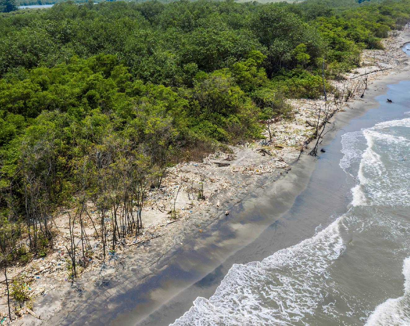 This image for Image Layouts addon