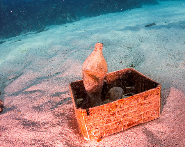 This image for Image Layouts addon