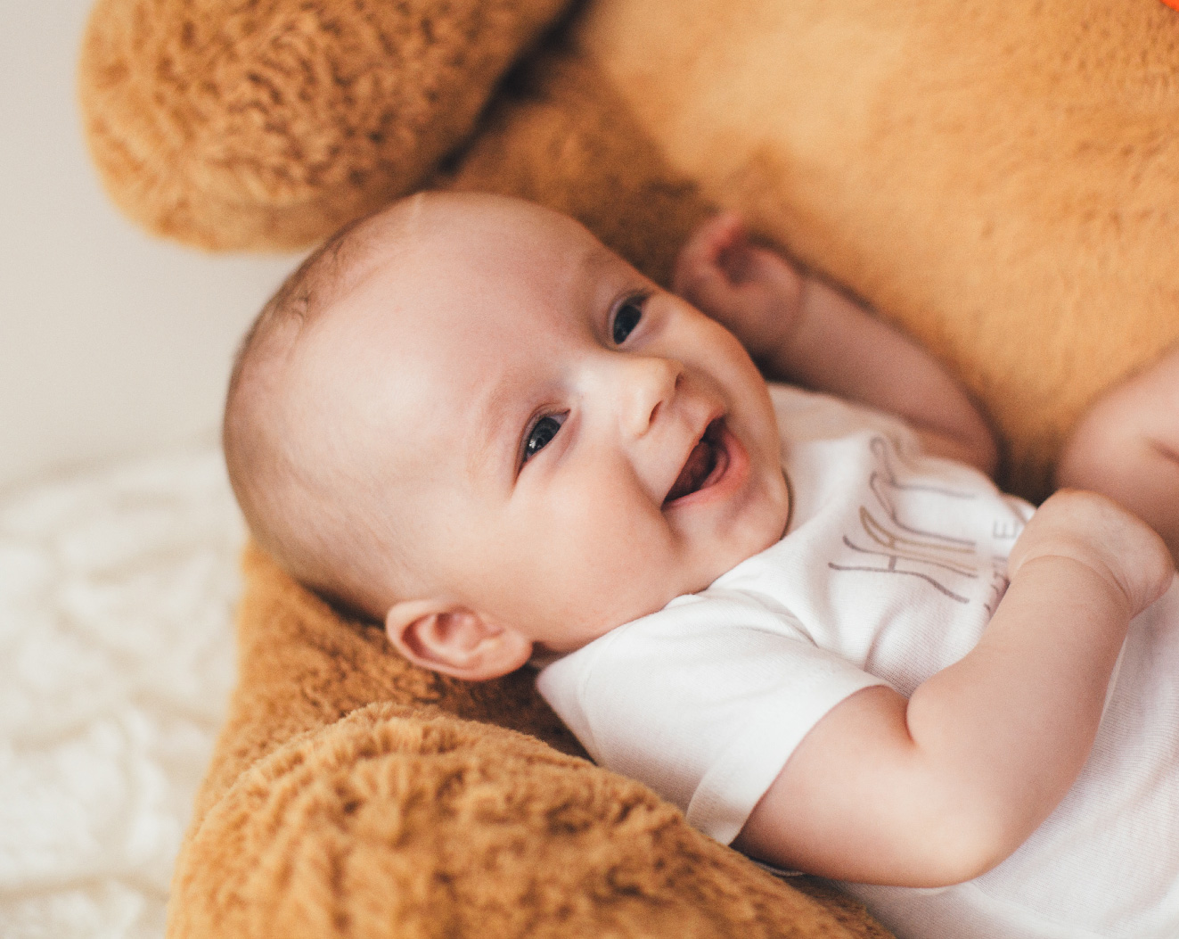 This image for Image Layouts addon