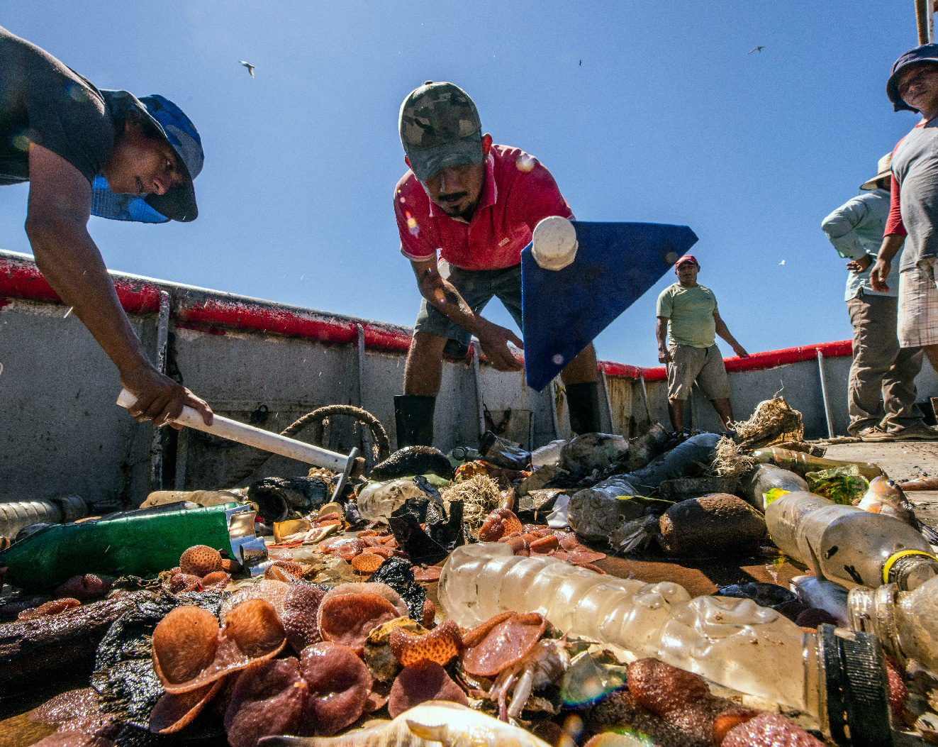 This image for Image Layouts addon