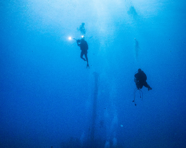 This image for Image Layouts addon