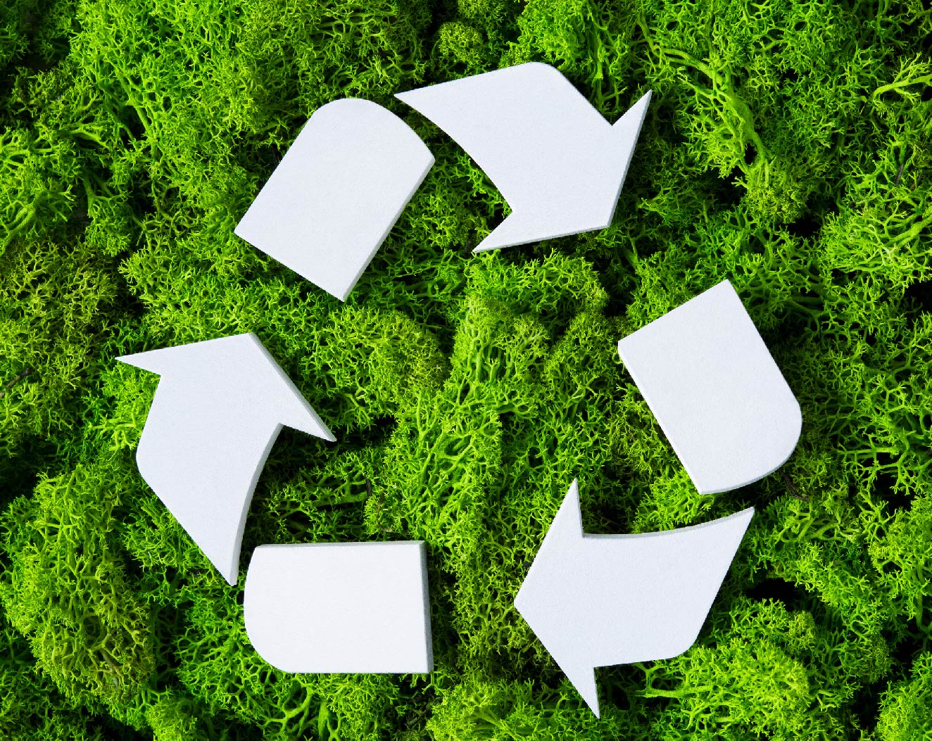 This image for Image Layouts addon