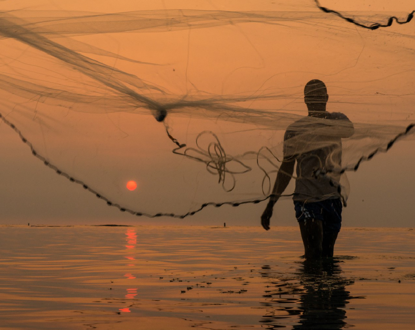 This image for Image Layouts addon