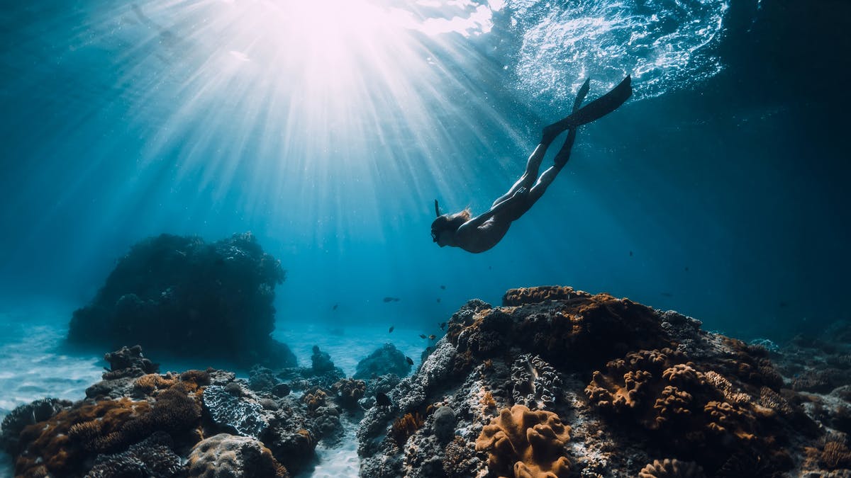 This image for Image Layouts addon